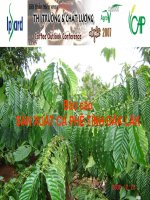 Báo cáo SẢN XUẤT CÀ PHÊ TỈNH ĐĂK LĂK