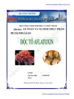 đề yafi tiểu luận độc tố aflattoxin