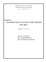 skkn giải pháp nâng cao chất lượng trường tiểu học