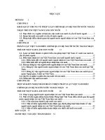 Người nước ngoài nhận trẻ em việt nam làm con nuôi theo quy định của pháp luật việt nam