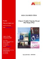 báo cáo phân tích công ty cổ phần vàng bạc đá quý phú nhuận (pnj)