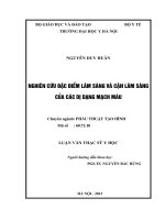 Nghiên cứu đặc điểm lâm sàng và cận lâm sàng của các dị dạng mạch máu