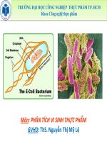 phân tích vi sinh thực phẩm ước tính nồng độ vi khuẩn e.coli trong  nông nghiệp, khu vực tại potask brook ở burlington, vermont