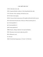 Một số yếu tố ảnh hưởng đến thai nhi bị hội chứng Rubella bẩm sinh tại bệnh viện phụ sản trung ương 2011