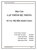 Báo Cáo LẬP TRÌNH HỆ THỐNG Đề Tài Hệ điều hành Linux