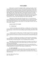 các loại vitaminA, C, D, E. B