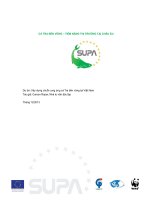 dự án xây dựng chuỗi cung ứng cá tra bền vững tại việt nam