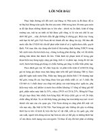 Tội sản xuất, buôn bán hàng giả lý luận và thực tiễn tội phạm nay tại địa bàn hà nội