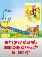 báo cáo tiểu luận thiết lập mặt bằng phân xưởng chính của nhà máy dầu thực vật