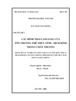 Các hình thái lâm sàng của  tổn thương thể thủy tinh - dịch kính trong chấn thương