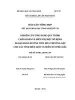 Nghiên cứu ứng dụng quy trình chẩn đoán và điều trị một số bệnh ngoại khoa đường tiêu hóa thường gặp cho các tỉnh biên giới và miền núi phía Bắc