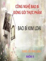 báo cáo tiểu luận môn công nghệ bao bì và đóng gói thực phẩm tìm hiểu bao bì kim loại