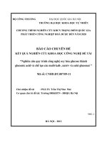 Nghiên cứu quy trình công nghệ oxy hóa glucose thành gluconic acid và chế tạo các muối kali-natri và canxi gluconat - Chuyên đề