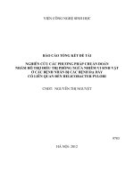 Nghiên cứu các phương pháp chuẩn đoán nhằm hỗ trợ điều trị phòng ngừa nhiễm vi sinh vật ở các bệnh nhân bị các bệnh dạ dày có liên quan đến Helicobacter pylori
