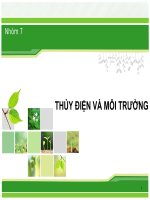 BÁO CÁO TIỂU LUẬN CƠ SỞ KINH TẾ NĂNG LƯỢNG THỦY ĐIỆN VÀ MÔI TRƯỜNG