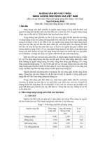 NHỮNG VẤN ĐỀ PHÁT TRIỂN NĂNG LƯỢNG SINH KHỐI CỦA VIỆT NAM