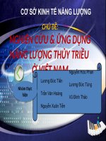 TIỂU LUẬN CƠ SỞ KINH TẾ NĂNG LƯỢNG ỨNG DỤNG NĂNG LƯỢNG THỦY TRIỀU Ở VIỆT NAM HIỆN NAY