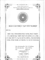 điều tra tình hình phát sinh phát triển của bệnh hại trên một số giống lúa (nhị ưu 838, nếp 97) xã hưng đông, vinh, nghệ an trong vụ xuân năm 2014