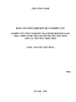 Nghiên cứu công nghệ đúc hai lớp hệ hợp kim gang Cr26 - thép C25 để chế tạo chi tiết búa đập than cho các nhà máy nhiệt điện