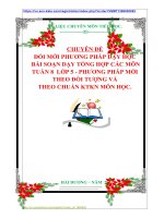 CHUYÊN ĐỀ ĐỔI MỚI PHƯƠNG PHÁP DẠY HỌC  BÀI SOẠN DẠY TỔNG HỢP CÁC MÔN  TUẦN 8  LỚP 5  PHƯƠNG PHÁP MỚI  THEO ĐỐI TƯỢNG VÀ  THEO CHUẨN KTKN MÔN HỌC.