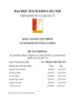 TIỂU LUẬN CƠ SỞ KINH TẾ NĂNG LƯỢNG XU HƯỚNG PHÁT TRIỂN VÀ ỨNG DỤNG CỦA PIN MẶT TRỜI CỦA NƯỚC TA