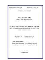 Nghiên cứu biện pháp phòng trừ tổng hợp nhện gié (Steneotarsonemus spinki Smiley) hại lúa ở Việt Nam