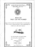đánh giá khả năng sinh trưởng từ sơ sinh đến 24 tháng tuổi của bò địa phương và bò laisin hiện nay