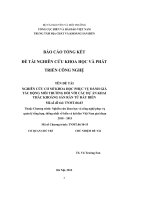 Nghiên cứu cơ sở khoa học phục vụ đánh giá tác động môi trường đối với các dự án khai thác khoáng sản rắn từ đáy biển