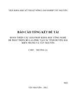Hoàn thiện các giải pháp khoa học công nghệ để phát triển bò lai Zêbu tại các tỉnh Duyên hải miền Trung và Tây Nguyên