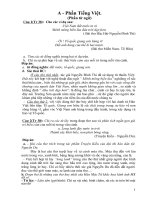 đề cương ôn thi vào lớp 10 môn ngữ văn