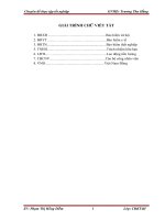 Đề tài: Kế toán tiền lương và các khoản trích theo lương tại Công ty TNHH dịch vụ Vesco