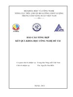 Các giải pháp khoa học và công nghệ nhằm nâng cao tính cạnh tranh và năng suất trong lĩnh vực sản xuất và dịch vụ - Báo cáo tổng hợp