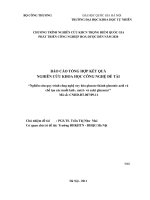 Nghiên cứu quy trình công nghệ oxy hóa glucose thành gluconic acid và chế tạo các muối kali-natri và canxi gluconat