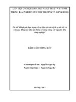Đánh giá thực trạng về sự tiếp cận các dịch vụ xã hội cơ bản của đồng bào dân tộc thiểu số vùng trồng cây nguyên liệu công nghiệp