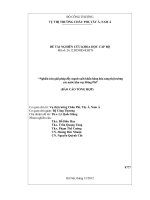 Nghiên cứu giải pháp đẩy mạnh xuất khẩu hàng hoá sang thị trường các nước khu vực Đông Phi
