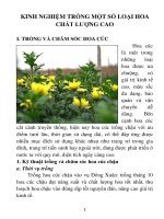 CHUYÊN ĐỀ : KINH NGHIỆM TRỒNG MỘT SỐ LOẠI HOA CHẤT LƯỢNG CAO