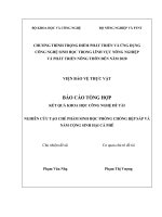 Nghiên cứu chế tạo chế phẩm sinh học phòng chống rệp sáp và nấm cộng sinh hại cà phê