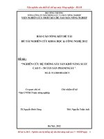 Nghiên cứu hệ thống sấy sắn khô năng suất cao 5-50 tấn sản phẩm-ngày