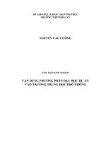 VẬN DỤNG PHƯƠNG PHÁP DẠY HỌC THEO DỰ ÁN (Project based learning) VÀO DẠY HỌC CHƯƠNG “CÁC ĐỊNH LUẬT BẢO TOÀN” (Lớp 10 nâng cao)
