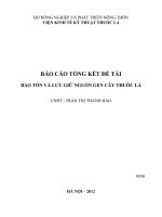 Bảo tồn và lưu giữ nguồn gen cây thuốc lá - Viện Kinh tế Kỹ thuật Thuốc lá