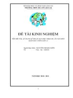 ĐỀ TÀI KINH NGHIỆM TÊN ĐỀ TÀI ÁP DỤNG KĨ THUẬT DẠY HỌC THEO DỰ ÁN VÀO MÔN GIÁO DỤC CÔNG DÂN 12