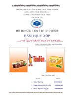 Bài Báo Cáo Thực Tập Tốt Nghiệp BÁNH QUY XỐP