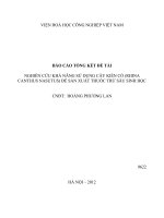 Nghiên cứu khả năng sử dụng cây Kiến Cò (Rhina canthus nasutus) để sản xuất thuốc trừ sâu sinh học
