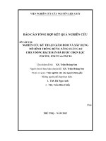 Nghiên cứu kỹ thuật giâm hom và xây dựng mô hình trồng rừng năng suất cao cho 3 dòng bạch đàn đã được chọn lọc PNCTIV; PIVCT3 và PNCT4