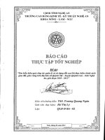 tìm hiểu hiệu quả công tác quản lý và sử dụng đất sau khi thực hiện chính sách giao đất, giao rừng trên địa bàn xa quỳnh mỹ - quỳnh lưu - nghệ an, giai đoạn 2010 - 2013