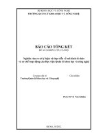 Nghiên cứu cơ sở lý luận và thực tiễn về mô hình tổ chức và cơ chế hoạt động của Học viện Quản lý Khoa học và công nghệ