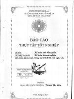 kế toán vốn bằng tiền tại công ty tnhh ô tô nghệ an