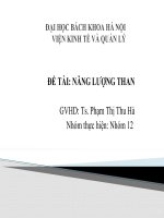 BÁO CÁO TIỂU LUẬN CƠ SỞ KINH TẾ NĂNG LƯỢNG NĂNG LƯỢNG THAN