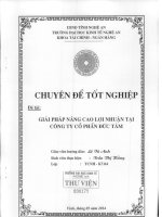 giải pháp nâng cao lợi nhuận tại công ty cổ phần đức tâm