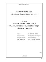 Nâng cao trách nhiệm xã hội của doanh nghiệp ngành công nghiệp tiêu dùng Việt Nam